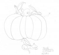 cats on a pumpkin
